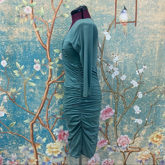 Sundance Eternal Compliments Ruched Bodycon Dress - Picture 5 of 9